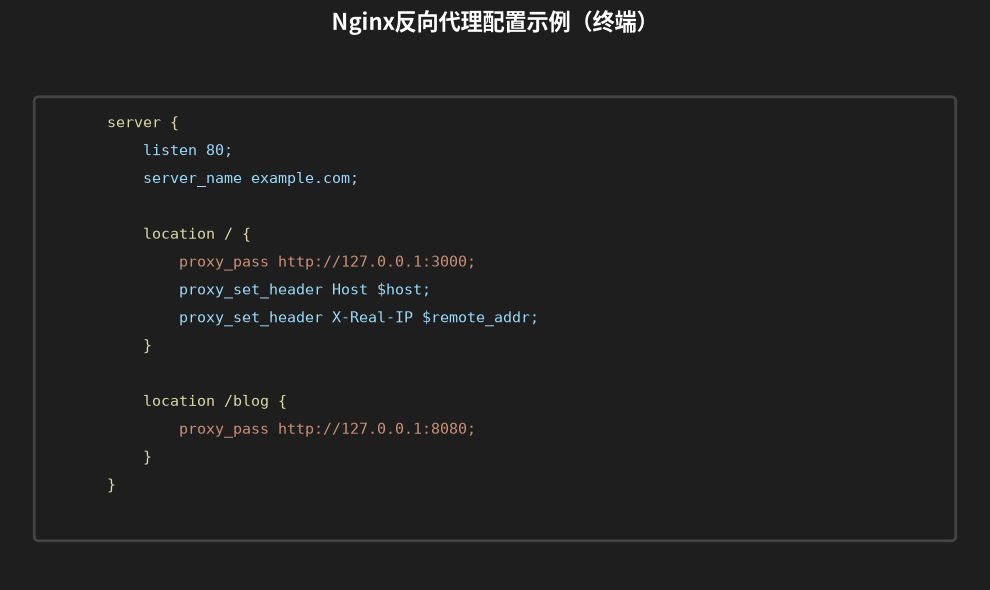 Nginx反向代理配置终端截图